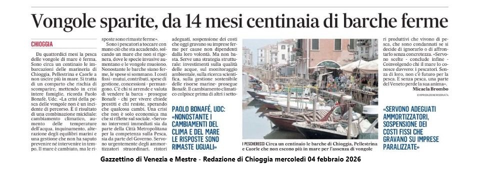 Vongole sparite e crisi del comparto